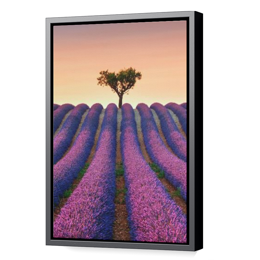 Thumbnail for Canvas - Black Floating Frame