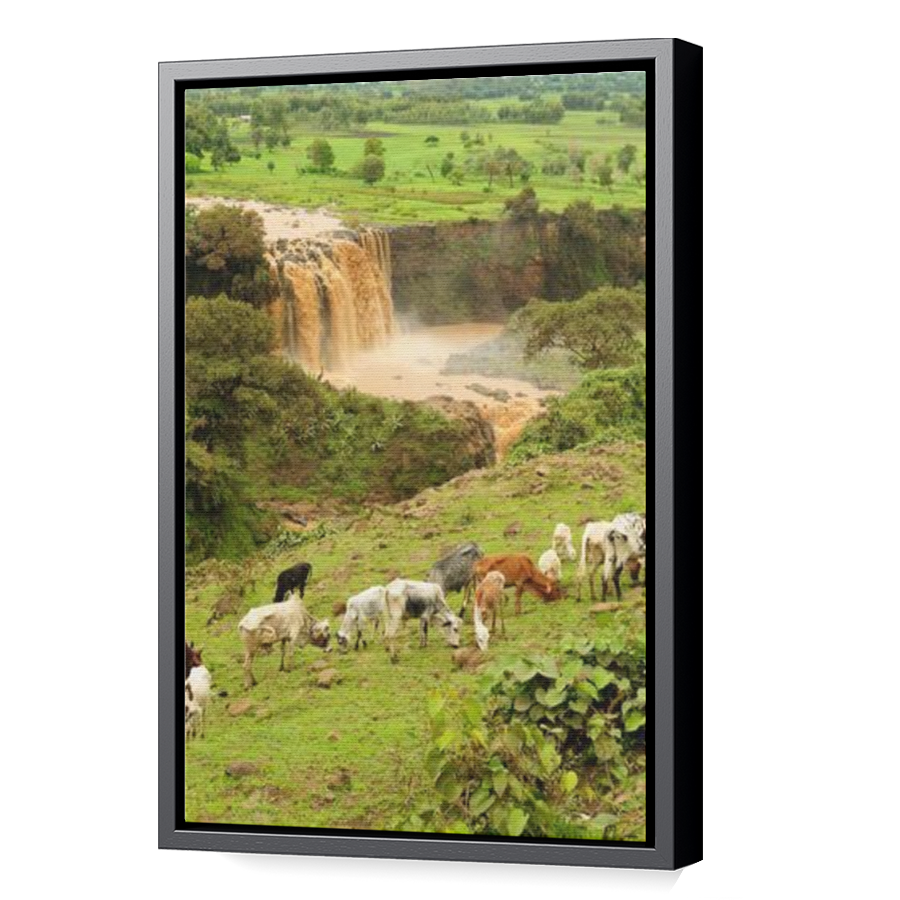 Thumbnail for Canvas - Black Floating Frame
