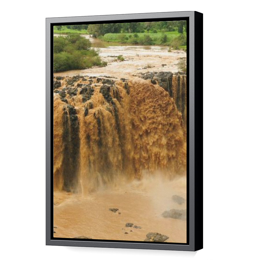 Thumbnail for Canvas - Black Floating Frame