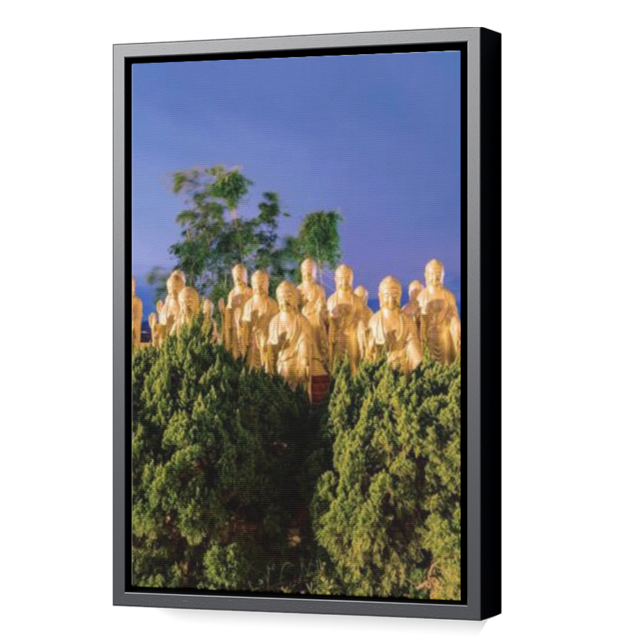 Thumbnail for Canvas - Black Floating Frame