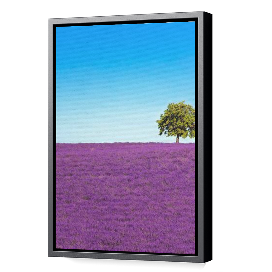 Thumbnail for Canvas - Black Floating Frame