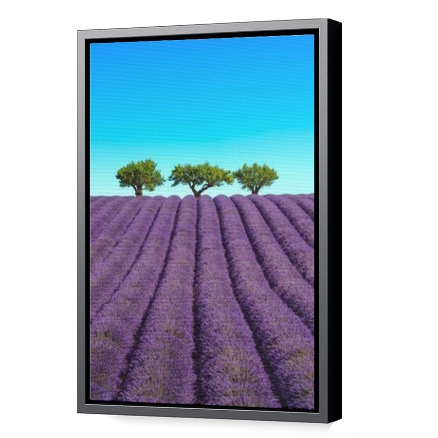Thumbnail for Canvas - Black Floating Frame