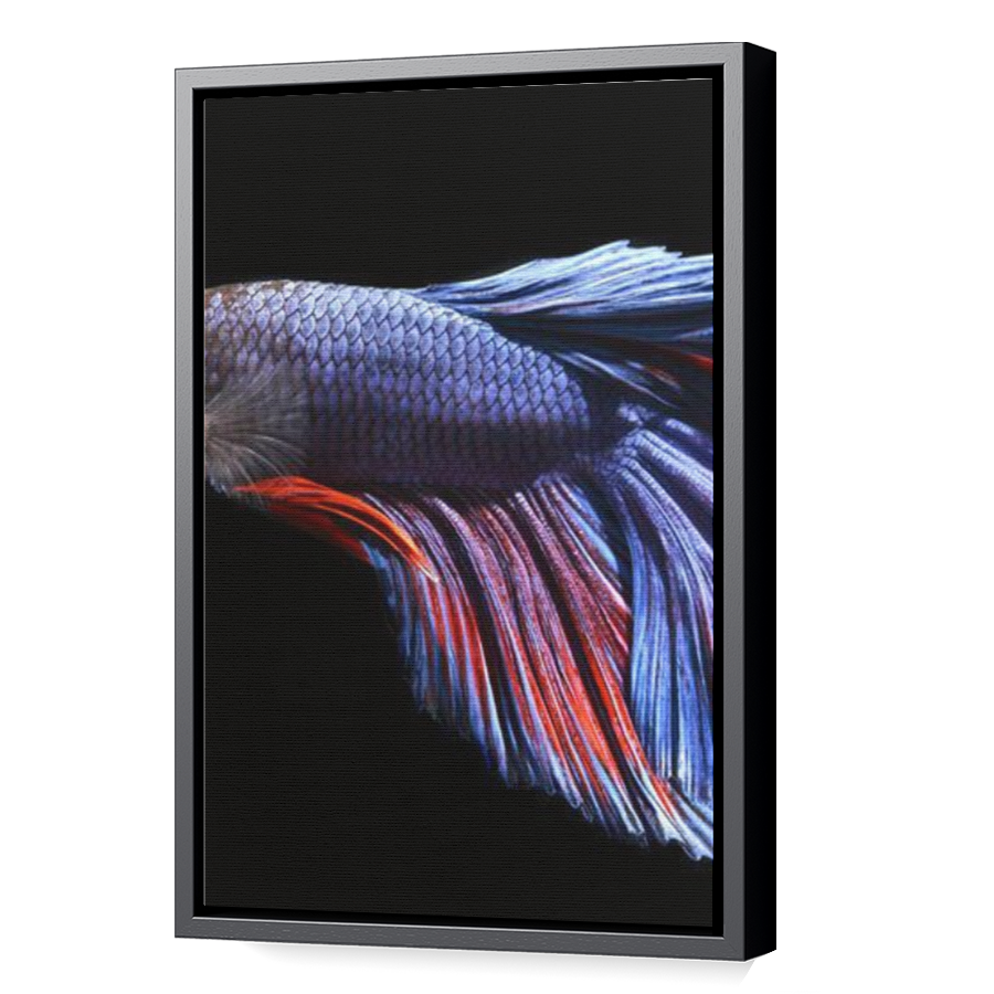 Thumbnail for Canvas - Black Floating Frame