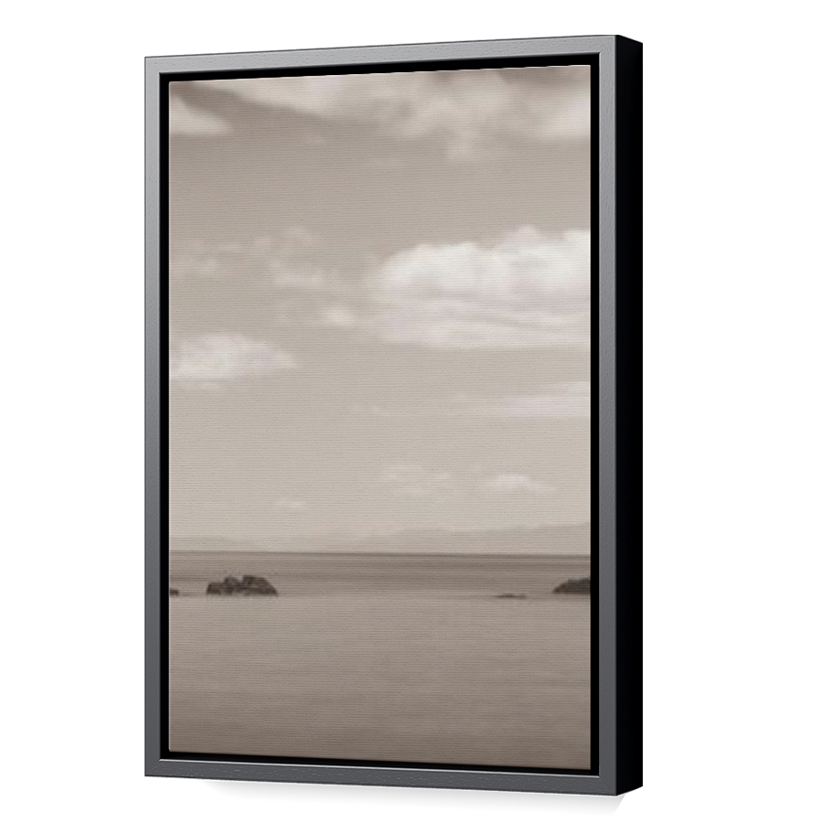 Thumbnail for Canvas - Black Floating Frame