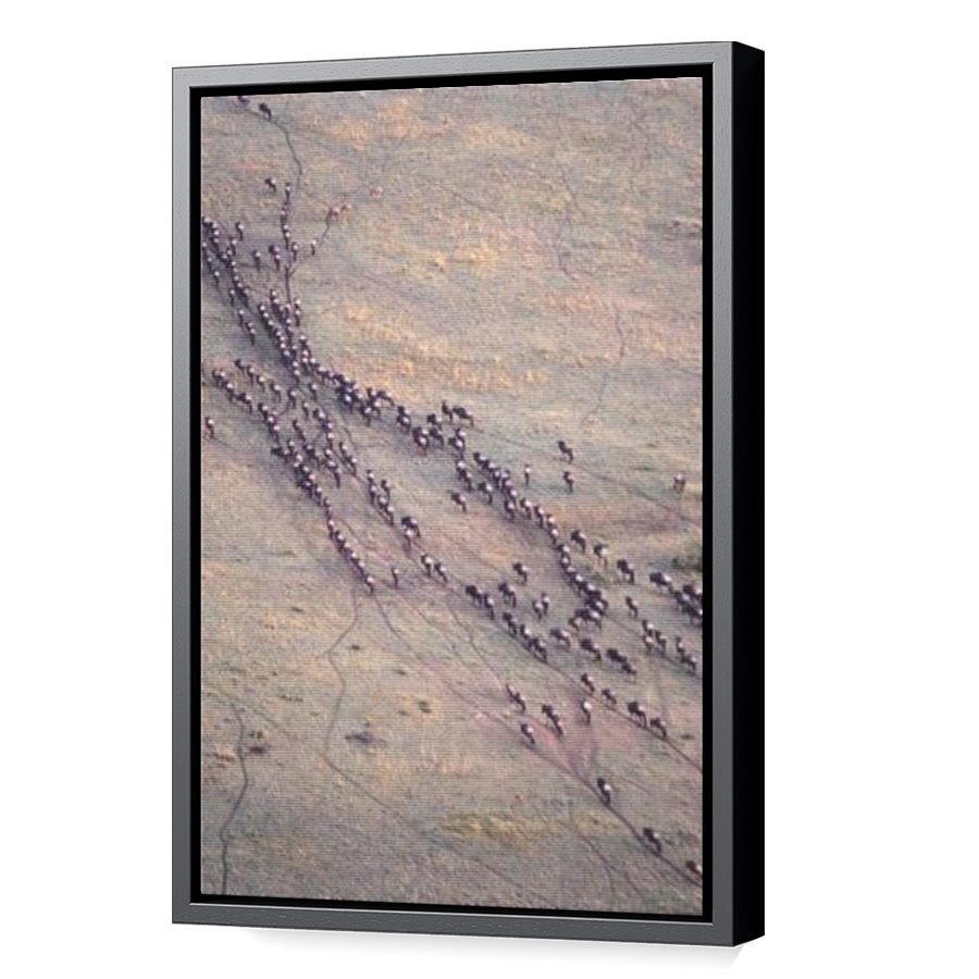 Thumbnail for Canvas - Black Floating Frame
