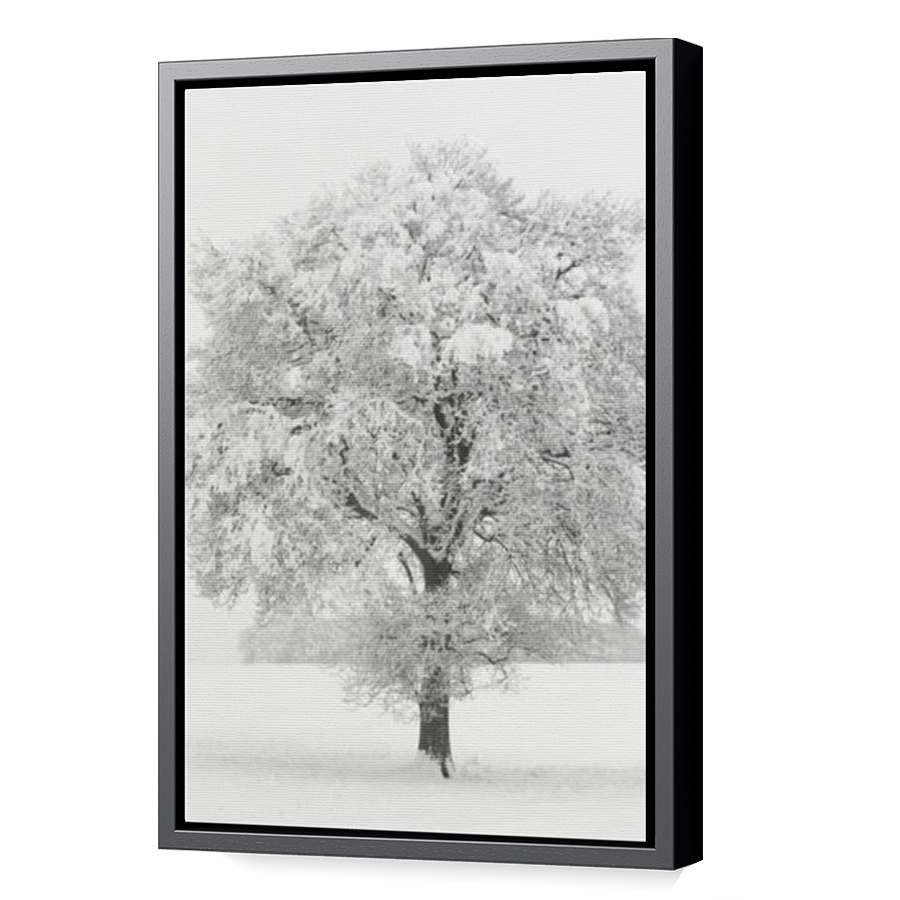 Thumbnail for Canvas - Black Floating Frame