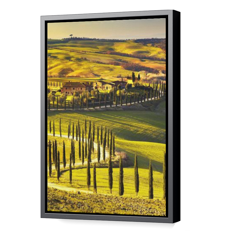 Thumbnail for Canvas - Black Floating Frame