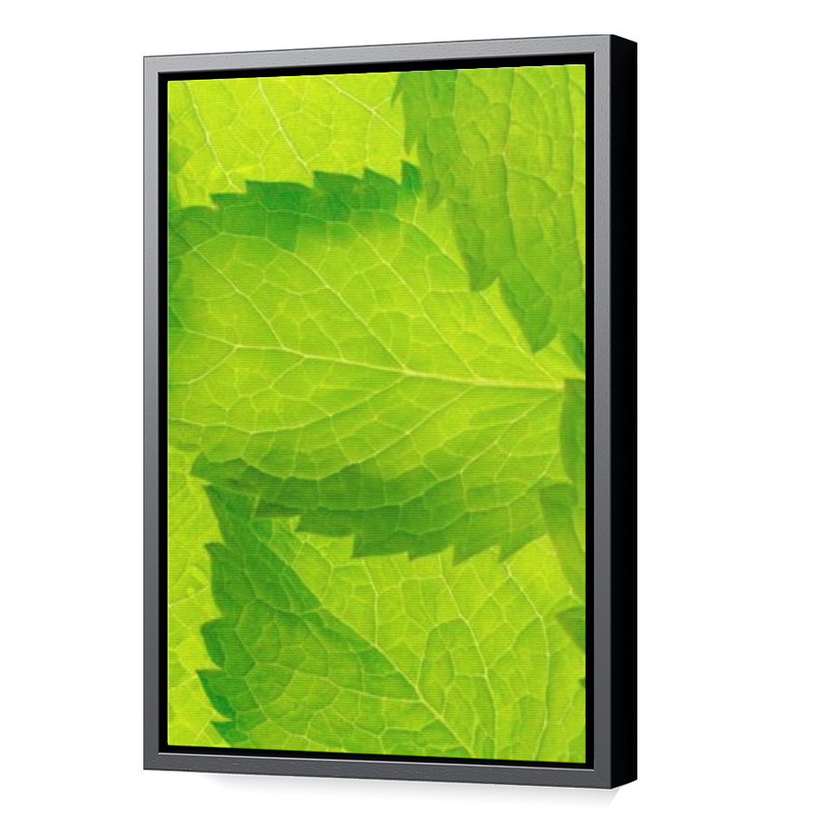 Thumbnail for Canvas - Black Floating Frame
