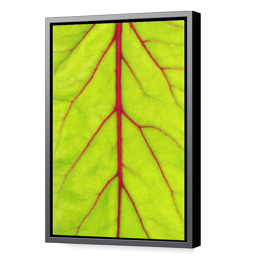 Thumbnail for Canvas - Black Floating Frame