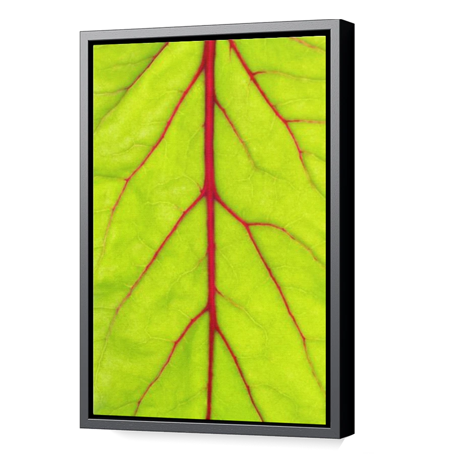 Thumbnail for Canvas - Black Floating Frame
