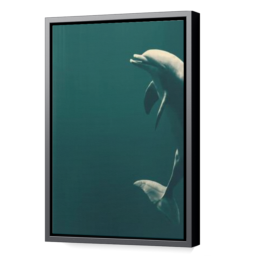 Thumbnail for Canvas - Black Floating Frame