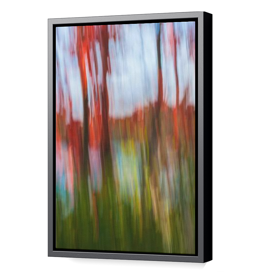 Thumbnail for Canvas - Black Floating Frame
