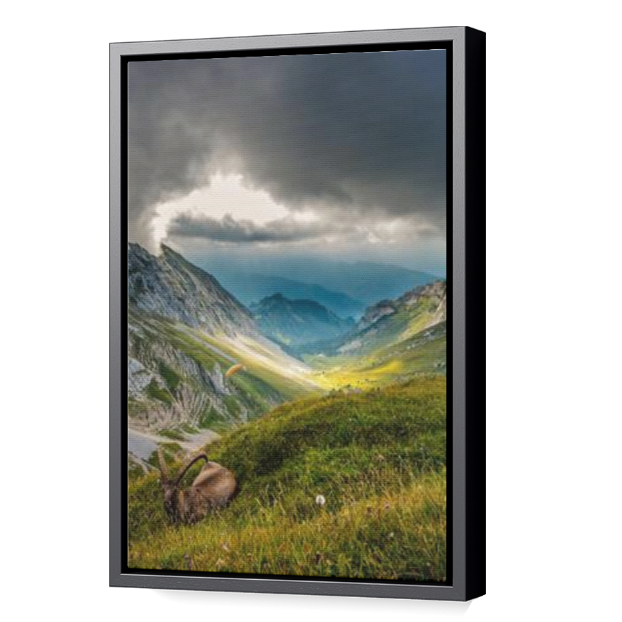 Thumbnail for Canvas - Black Floating Frame