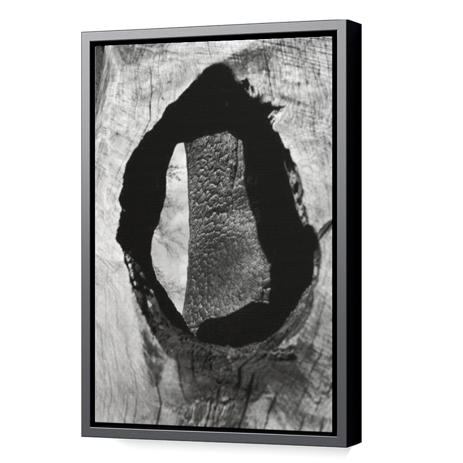 Thumbnail for Canvas - Black Floating Frame