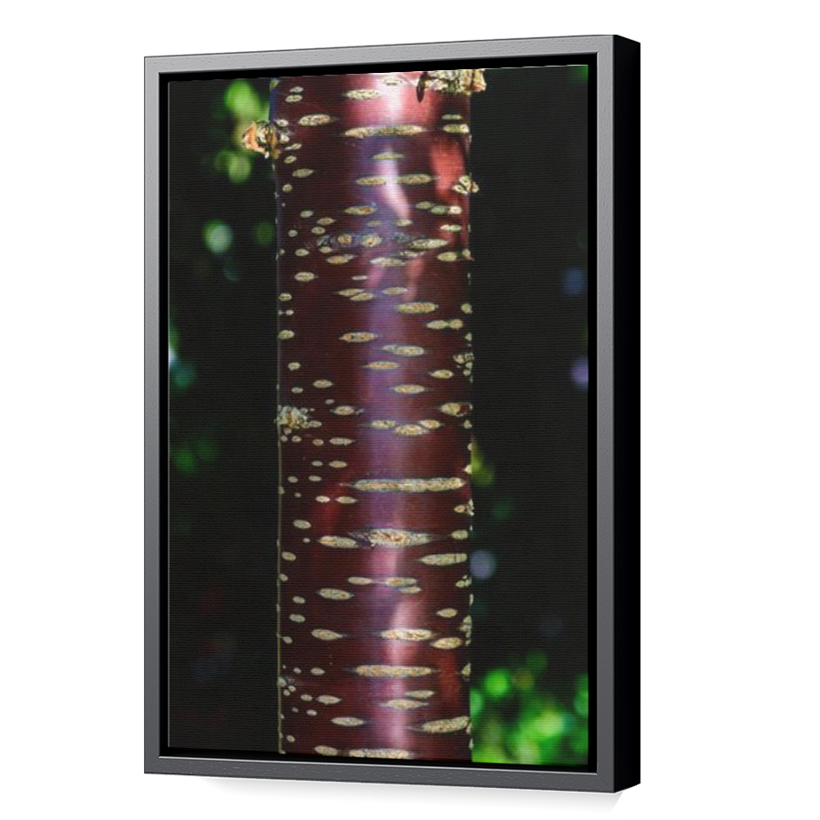 Thumbnail for Canvas - Black Floating Frame
