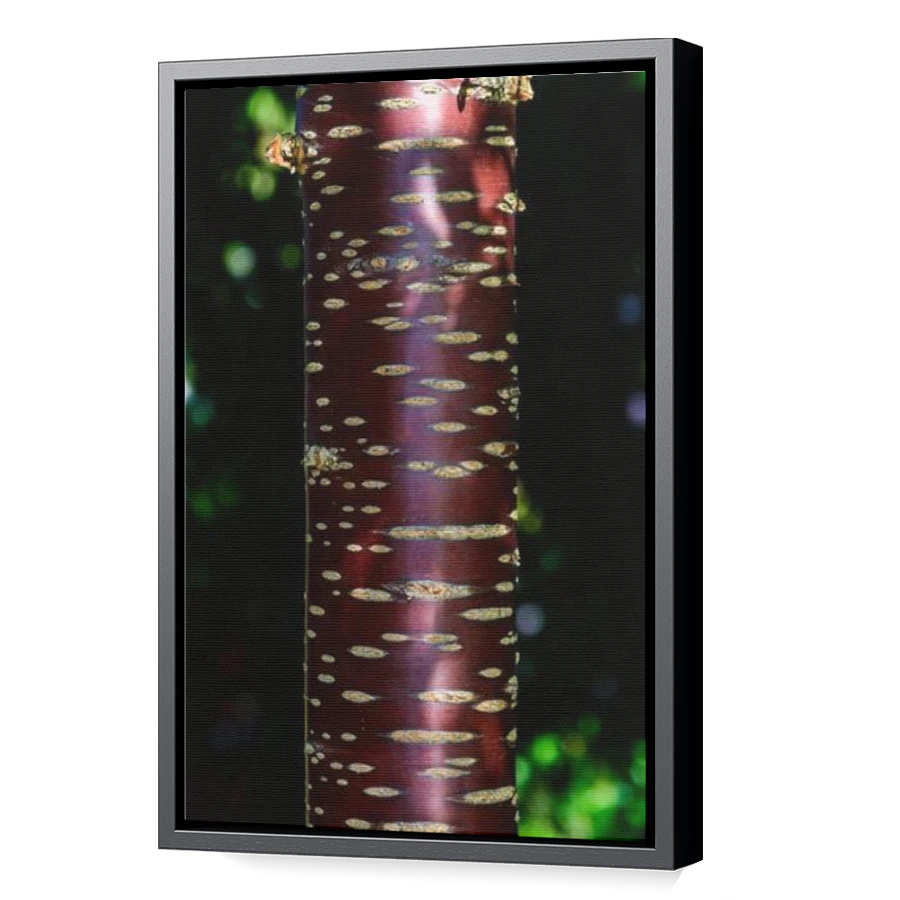 Thumbnail for Canvas - Black Floating Frame