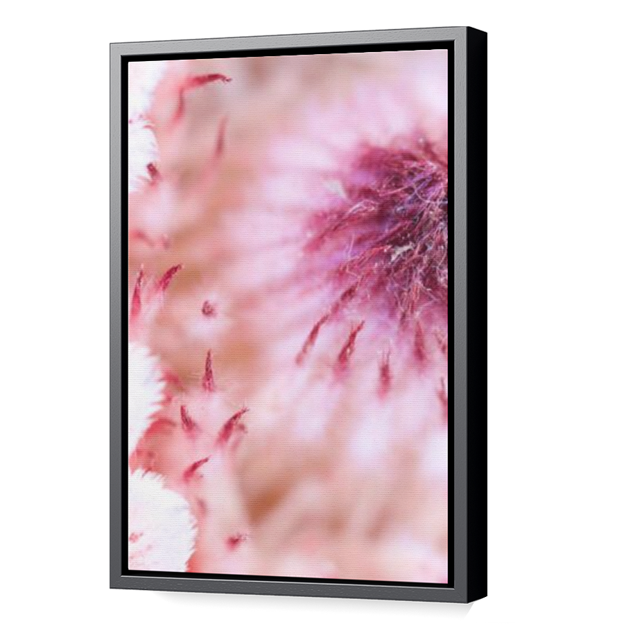 Thumbnail for Canvas - Black Floating Frame