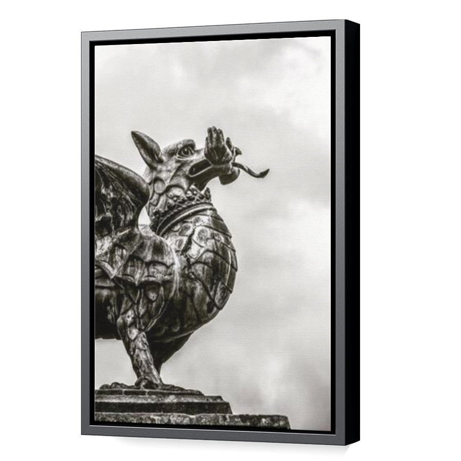 Thumbnail for Canvas - Black Floating Frame