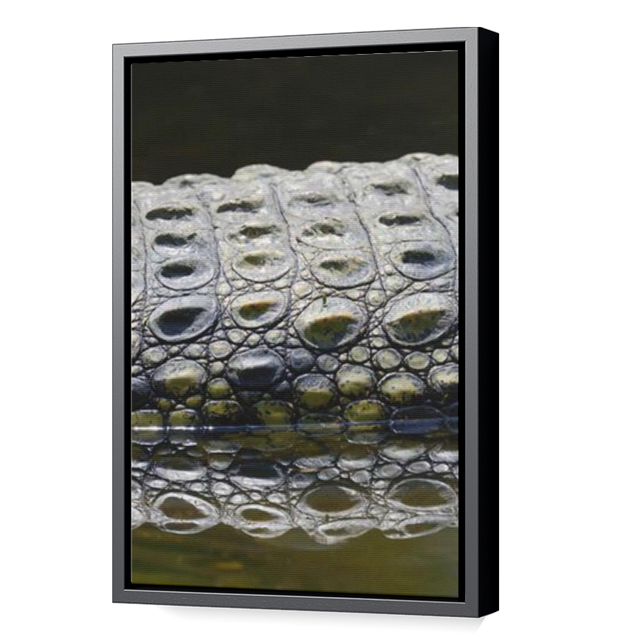 Thumbnail for Canvas - Black Floating Frame