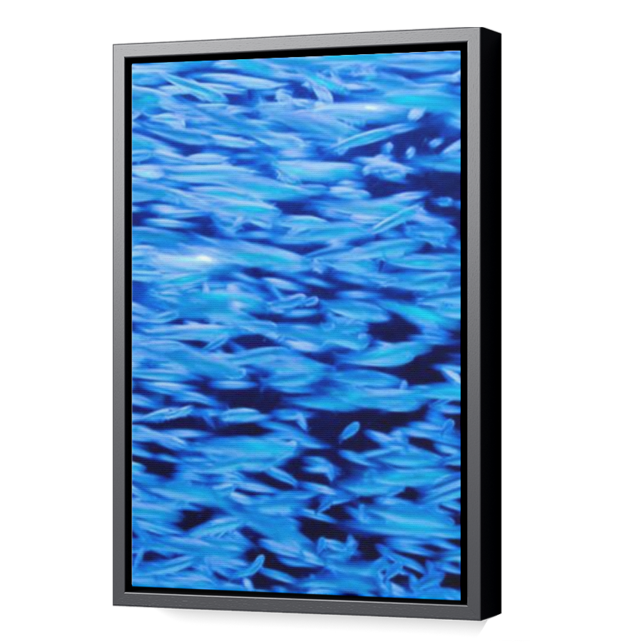 Thumbnail for Canvas - Black Floating Frame