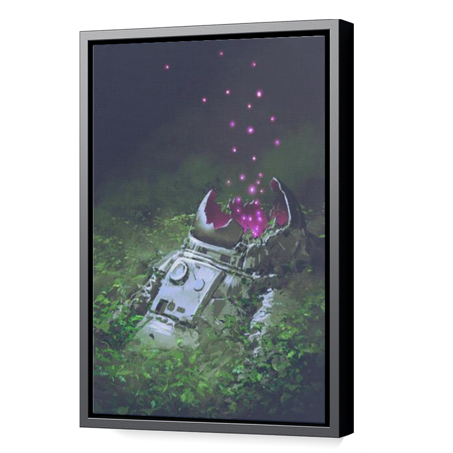 Thumbnail for Canvas - Black Floating Frame