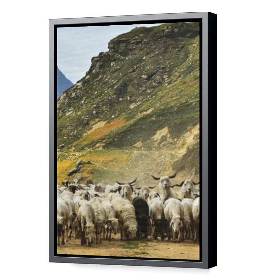 Thumbnail for Canvas - Black Floating Frame