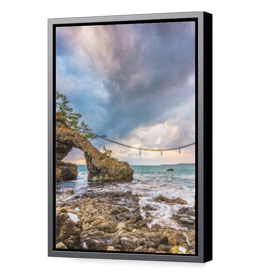 Thumbnail for Canvas - Black Floating Frame