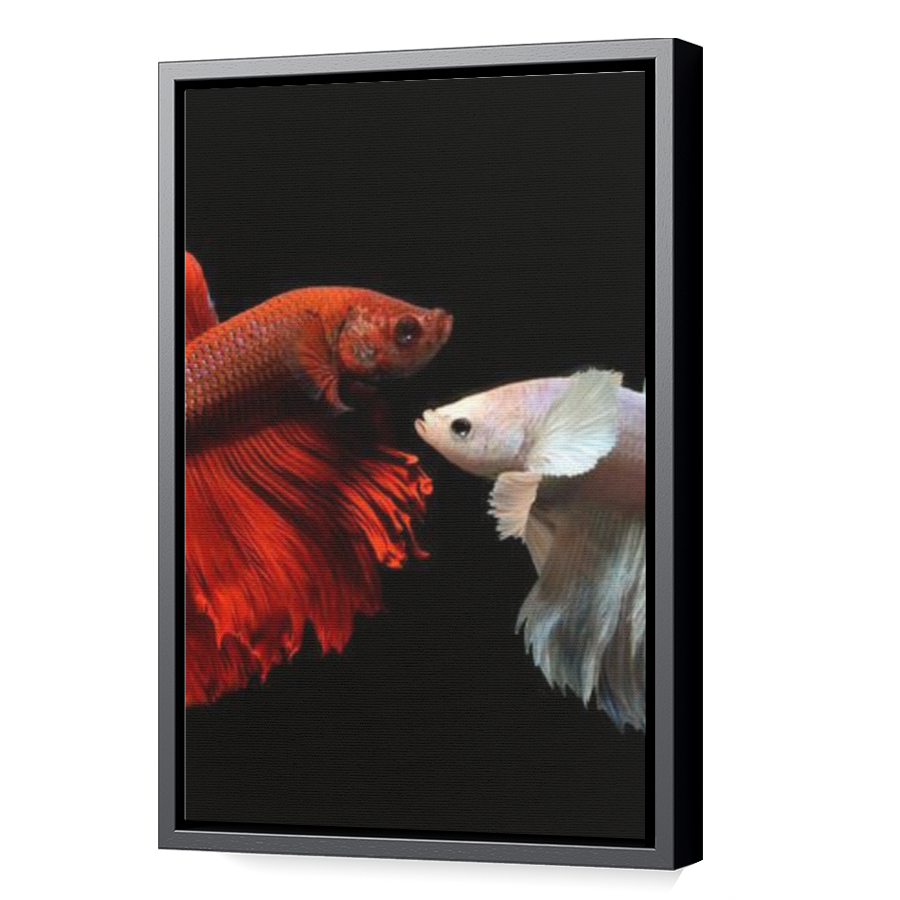 Thumbnail for Canvas - Black Floating Frame