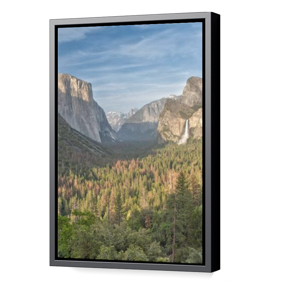 Thumbnail for Canvas - Black Floating Frame