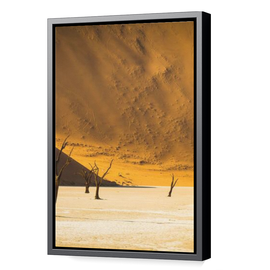 Thumbnail for Canvas - Black Floating Frame