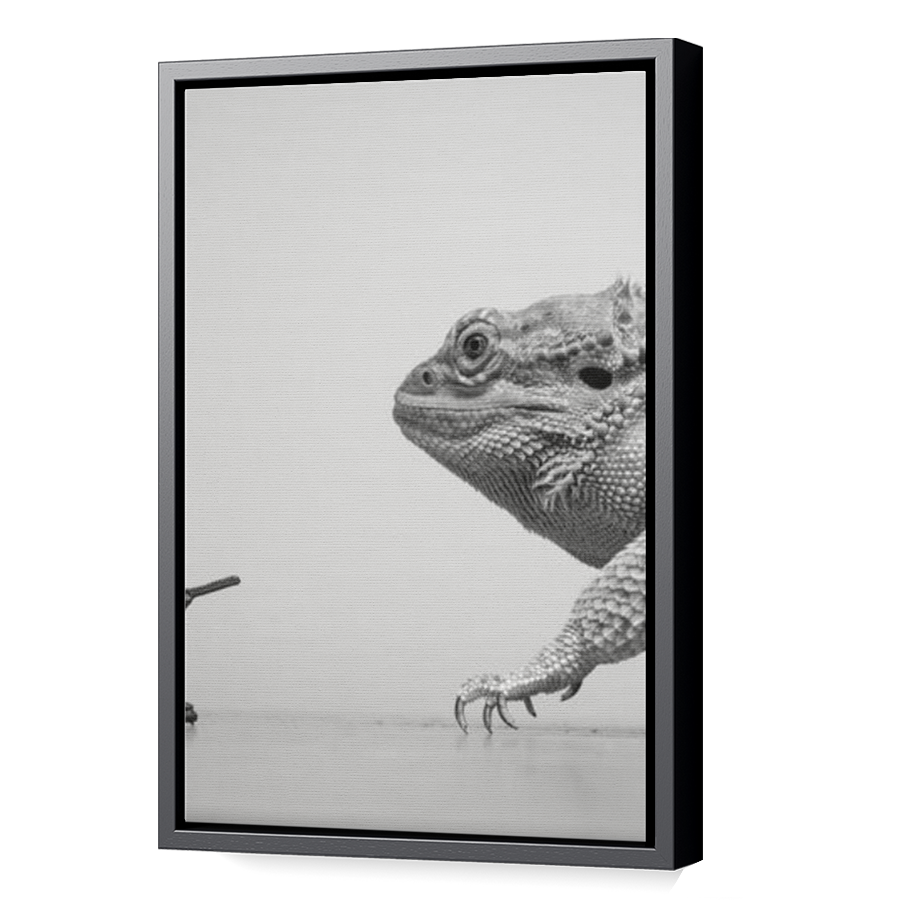 Thumbnail for Canvas - Black Floating Frame