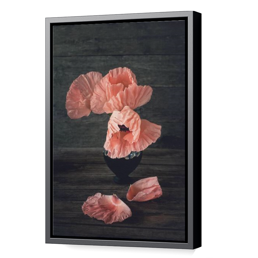 Thumbnail for Canvas - Black Floating Frame