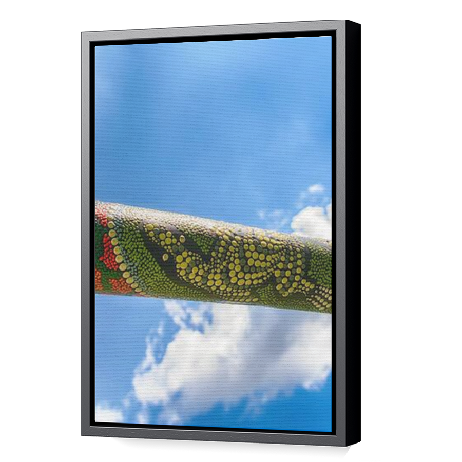 Thumbnail for Canvas - Black Floating Frame