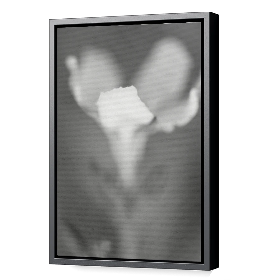Thumbnail for Canvas - Black Floating Frame