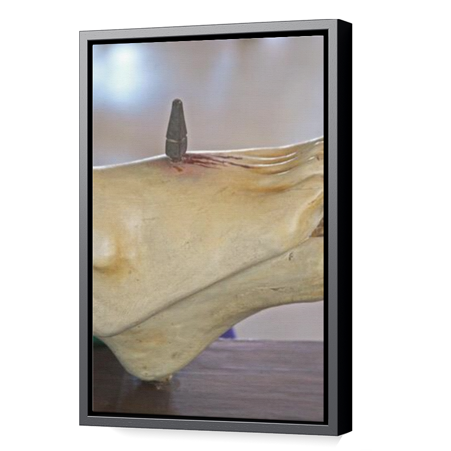 Thumbnail for Canvas - Black Floating Frame