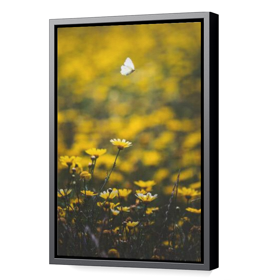 Thumbnail for Canvas - Black Floating Frame