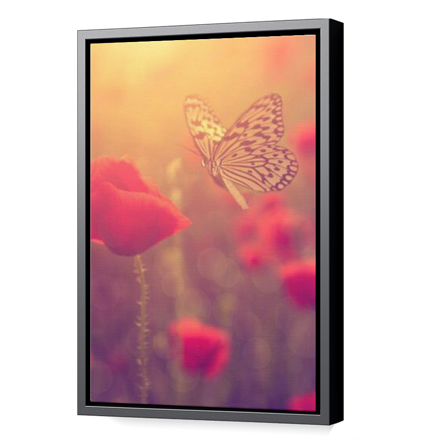 Thumbnail for Canvas - Black Floating Frame