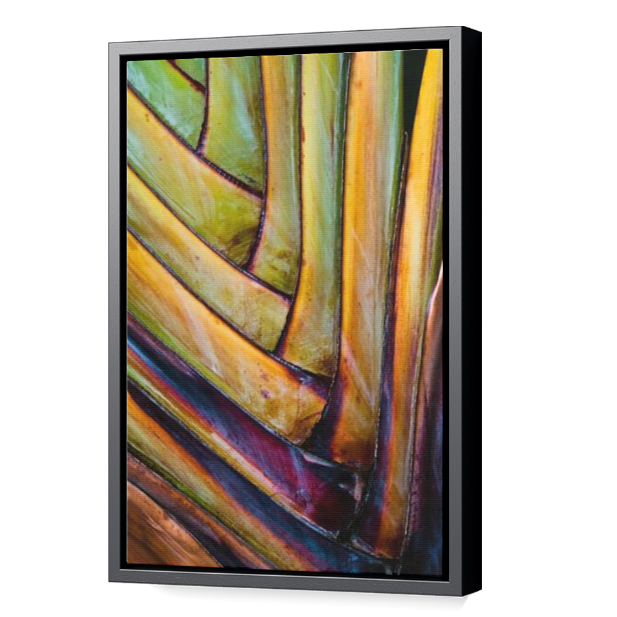Thumbnail for Canvas - Black Floating Frame