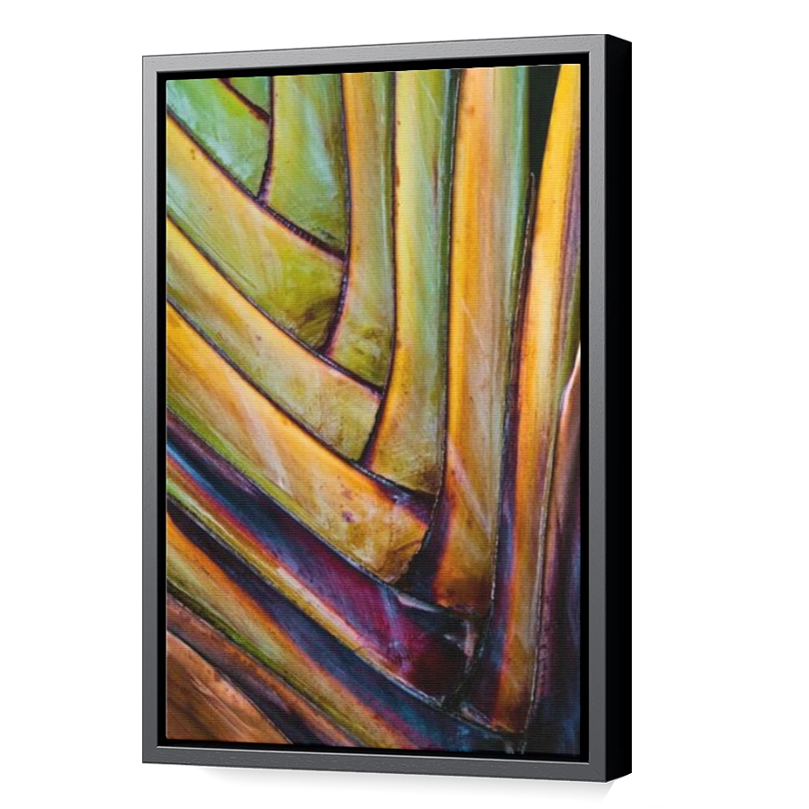 Thumbnail for Canvas - Black Floating Frame