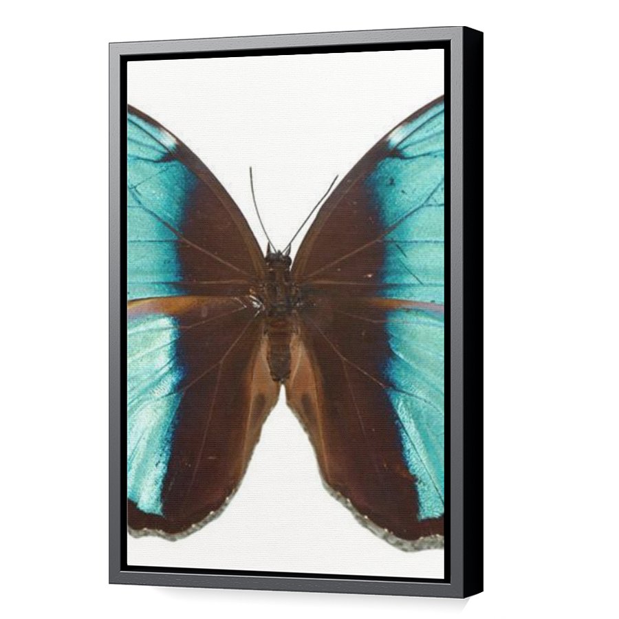 Thumbnail for Canvas - Black Floating Frame
