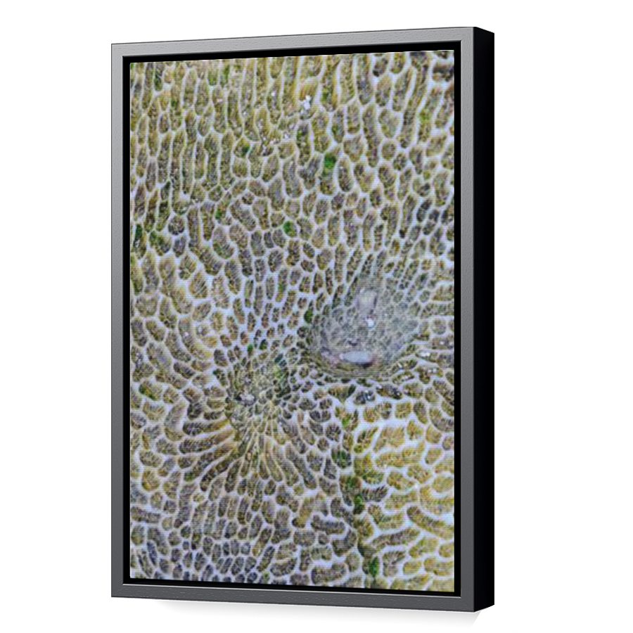 Thumbnail for Canvas - Black Floating Frame