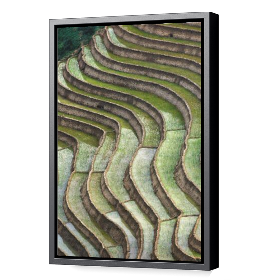 Thumbnail for Canvas - Black Floating Frame