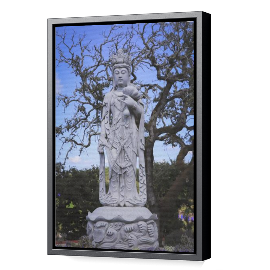 Thumbnail for Canvas - Black Floating Frame
