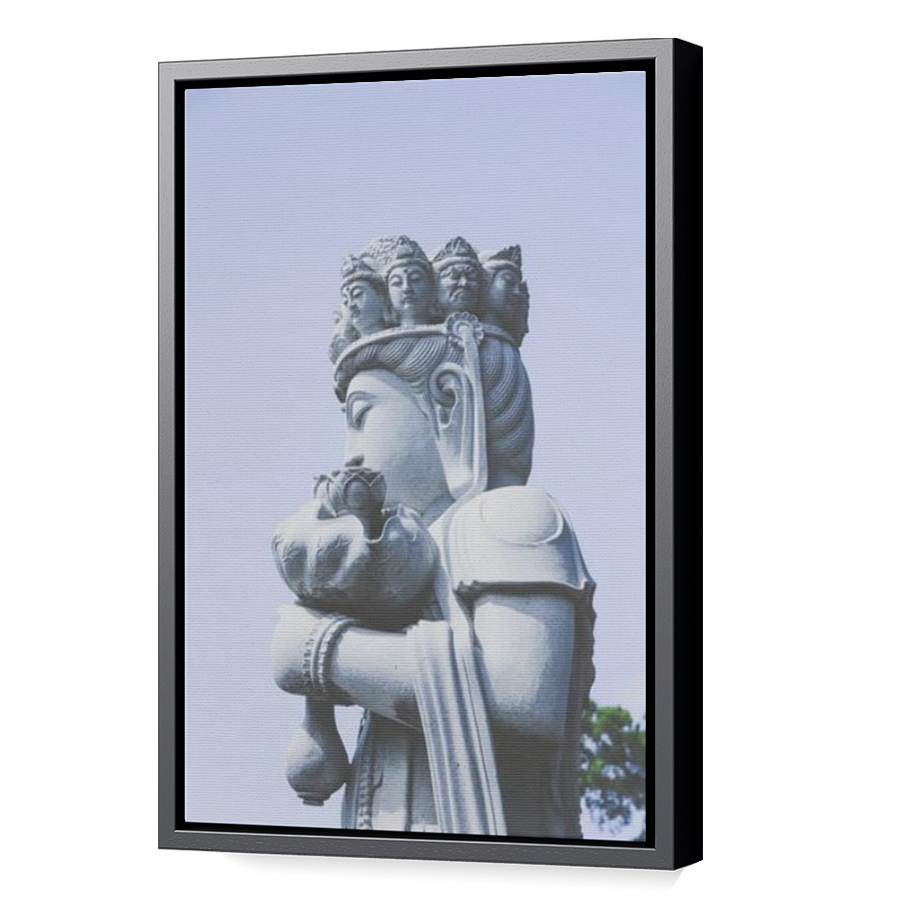 Thumbnail for Canvas - Black Floating Frame