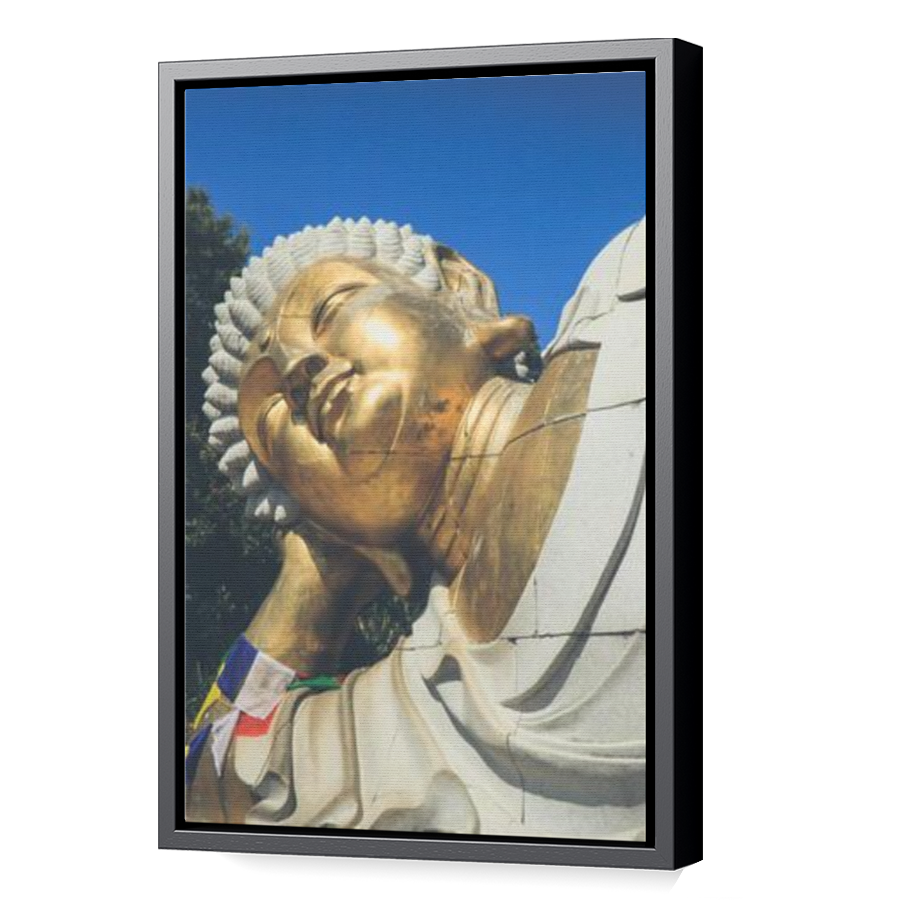 Thumbnail for Canvas - Black Floating Frame