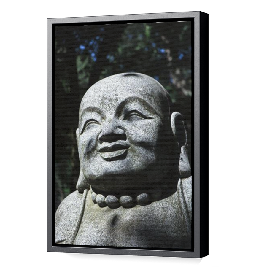 Thumbnail for Canvas - Black Floating Frame