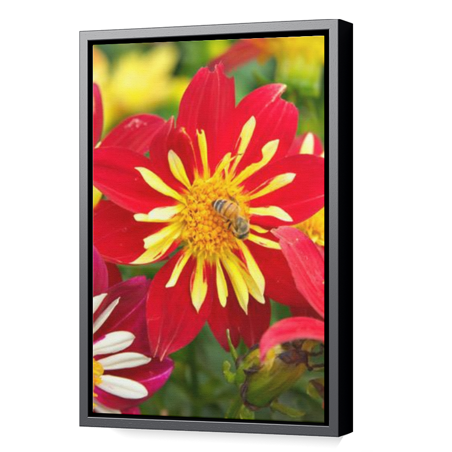 Thumbnail for Canvas - Black Floating Frame