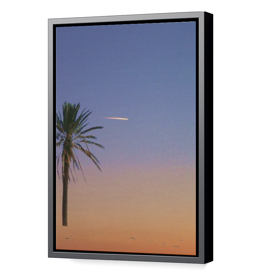 Thumbnail for Canvas - Black Floating Frame