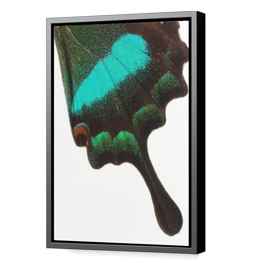 Thumbnail for Canvas - Black Floating Frame