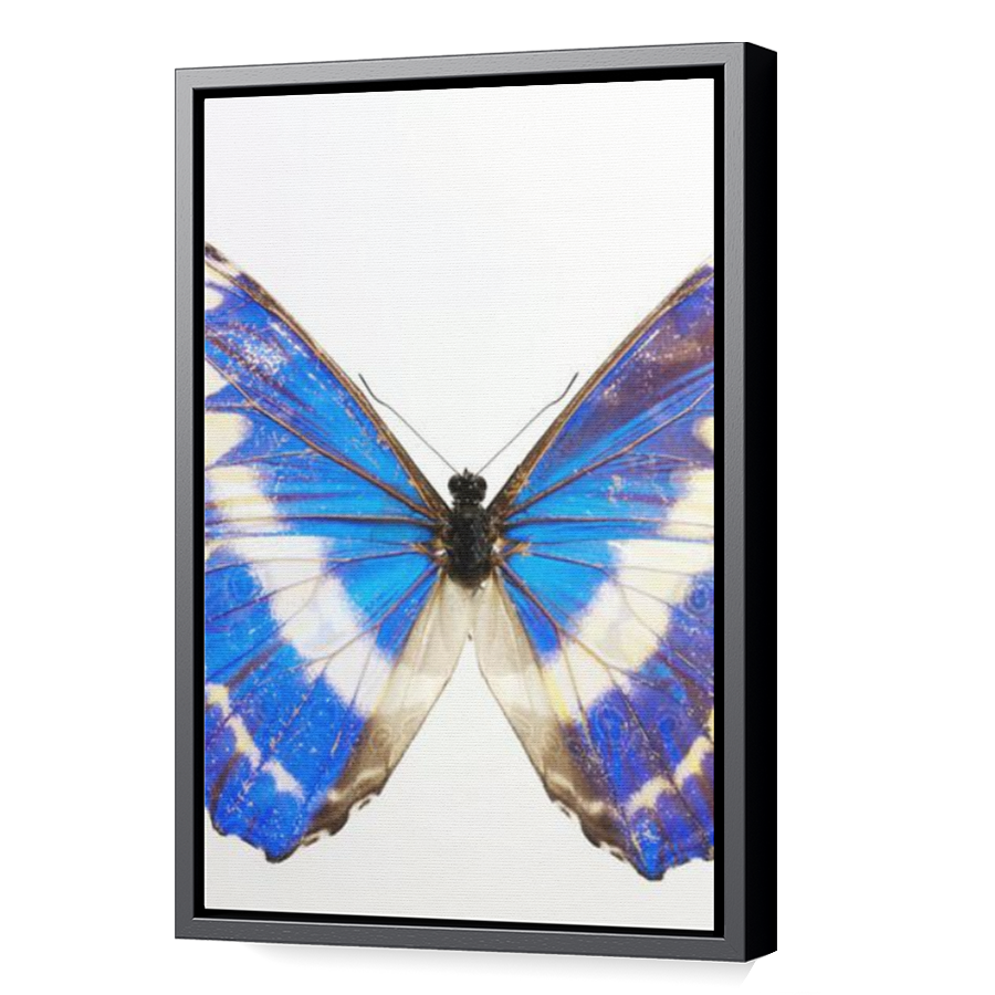 Thumbnail for Canvas - Black Floating Frame